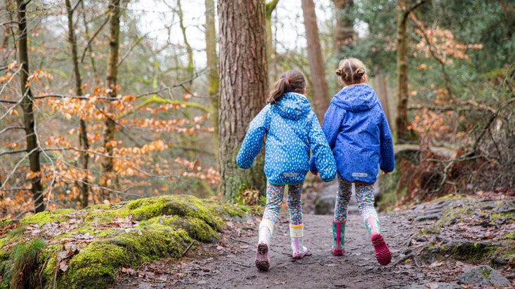 Two children in blue raincoats facing away from the camera, walking along a woodland path.